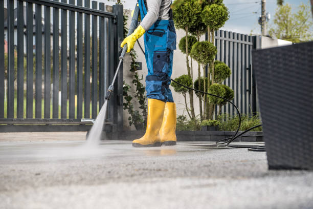 Best Roof Pressure Washing  in Eagle Butte, SD